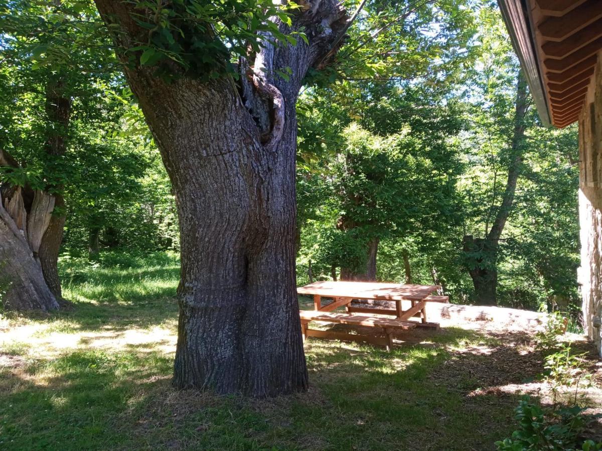 Casa De Anama Villa Entrecinsa Kültér fotó